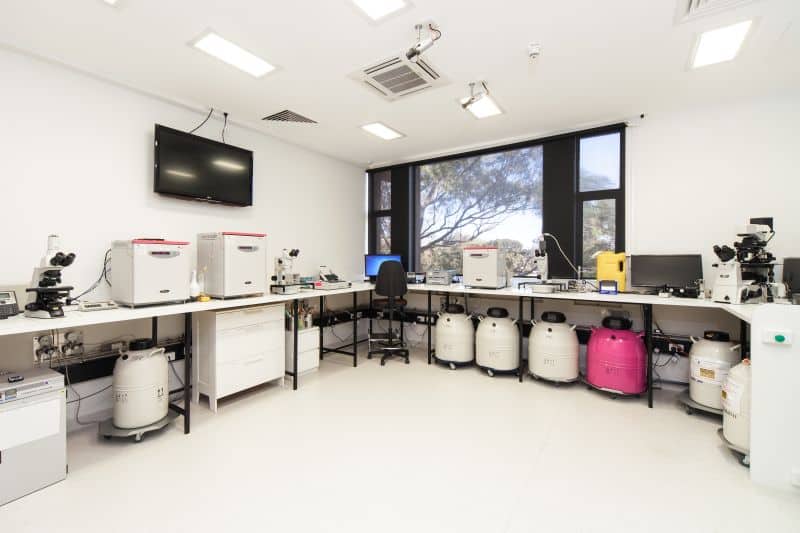 City Fertility » adelaide2lab