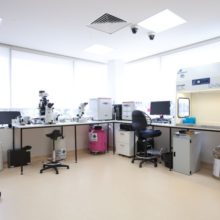 City Fertility Melbourne Bundoora laboratory