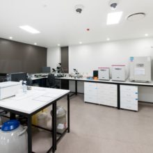 City Fertility Gold Coast laboratory