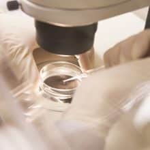 Scientist examining sample under microscope