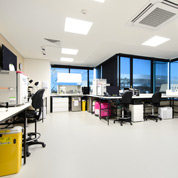 悉尼实验室