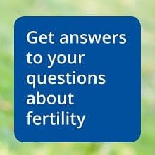 what is IVF