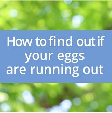 egg timer test