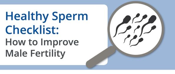 Healthy Sperm Checklist City Fertility 
