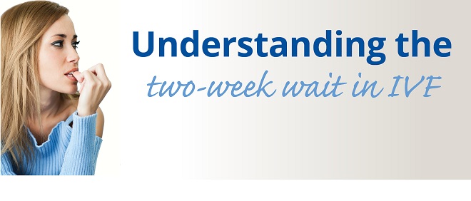 blog banner image_Understanding the 2-week wait in IVF_660x282