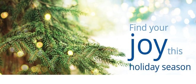 blog banner image_find your joy this festive season_660x282