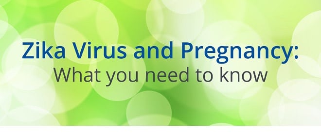 Zika Virus And Pregnancy What You Need To Know City Fertility 