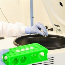 Scientist handling frozen sample