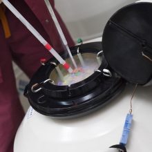 Frozen embryos in cryotank