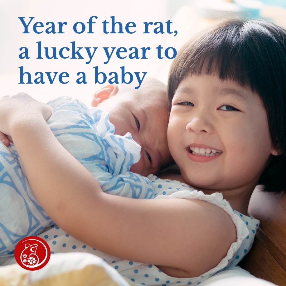 Year of the rat, a lucky year to have a baby | City Fertility Year of the rat, a lucky year to have a baby | City Fertility