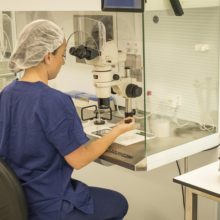 City Fertility Sydney CBD laboratory