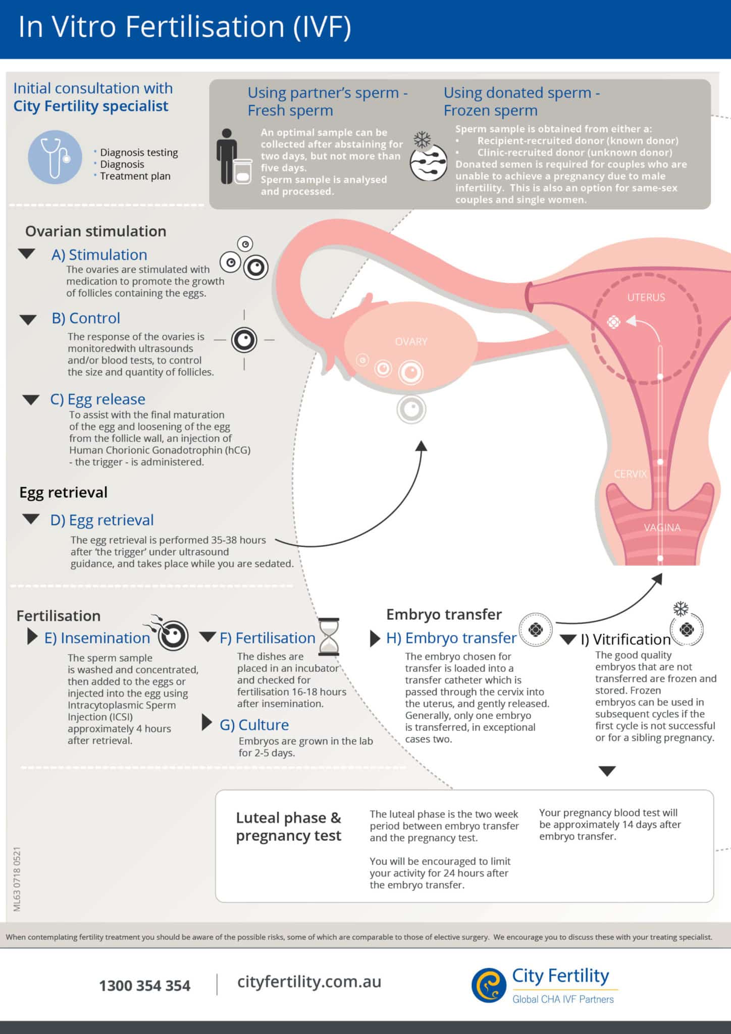 ivf pregnancy journey