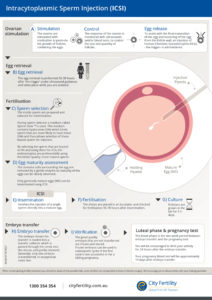 ICSI infographic City Fertility 
