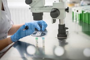 IVF laboratory scientist with gloves