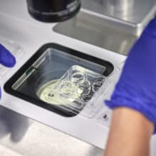 City Fertility Melbourne Notting Hill laboratory