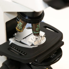 IVF Microscope