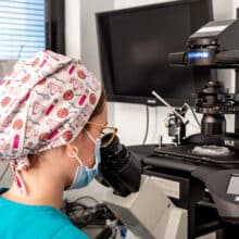 City Fertility Toowoomba - Laboratory