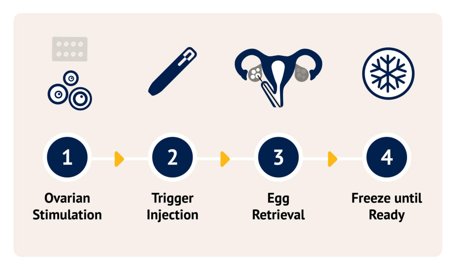 Egg Freezing | Take Control of Your Fertility Future